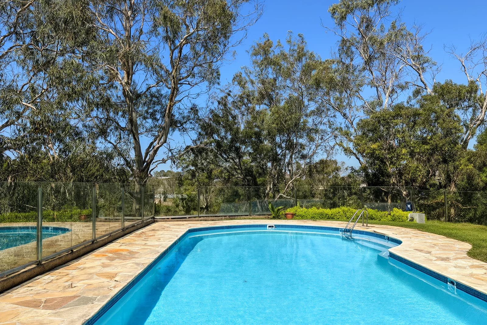 A Queensland backyard pool behind a glass fence under gum trees