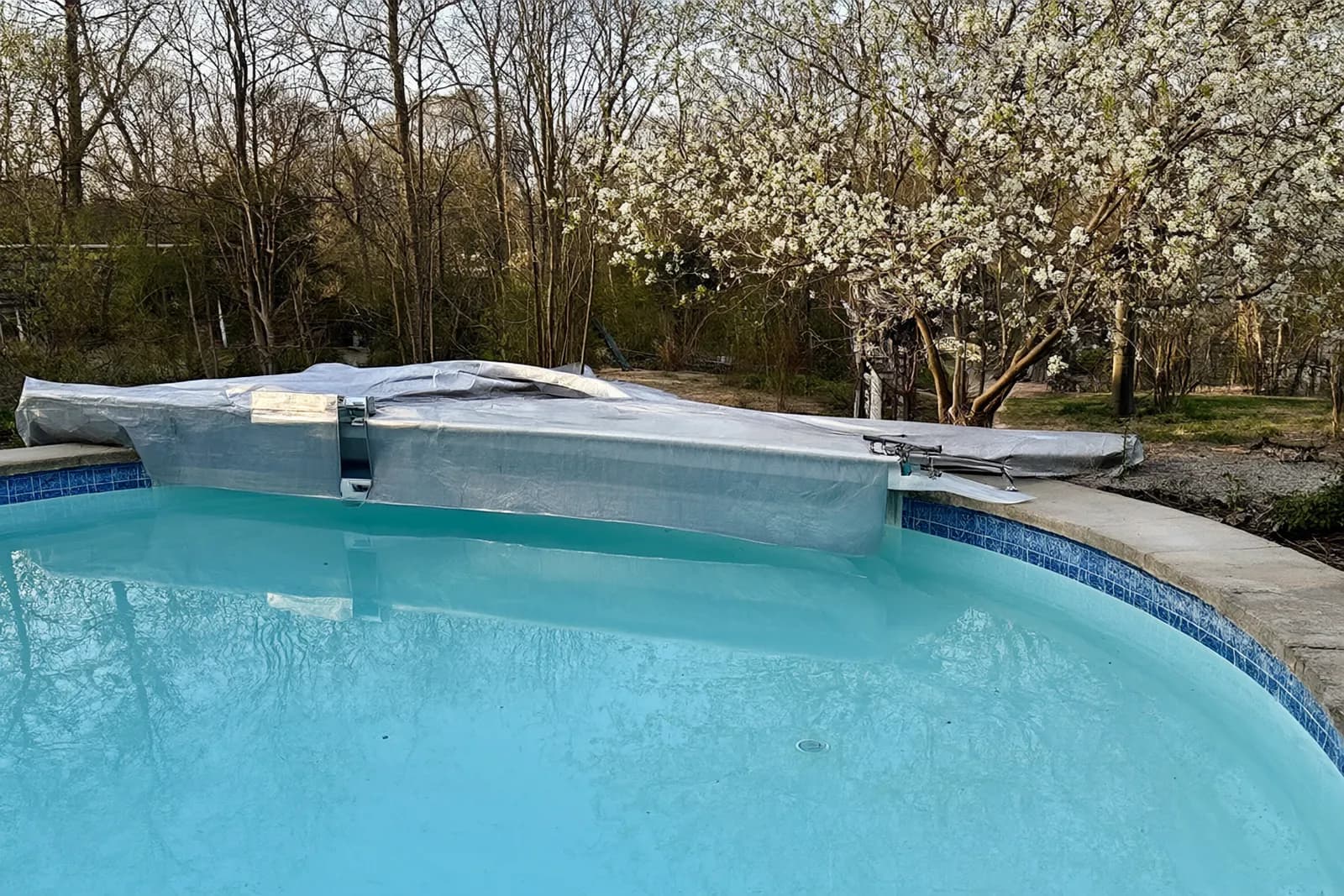 A backyard pool in early spring with the cover folded back and blossom on the trees
