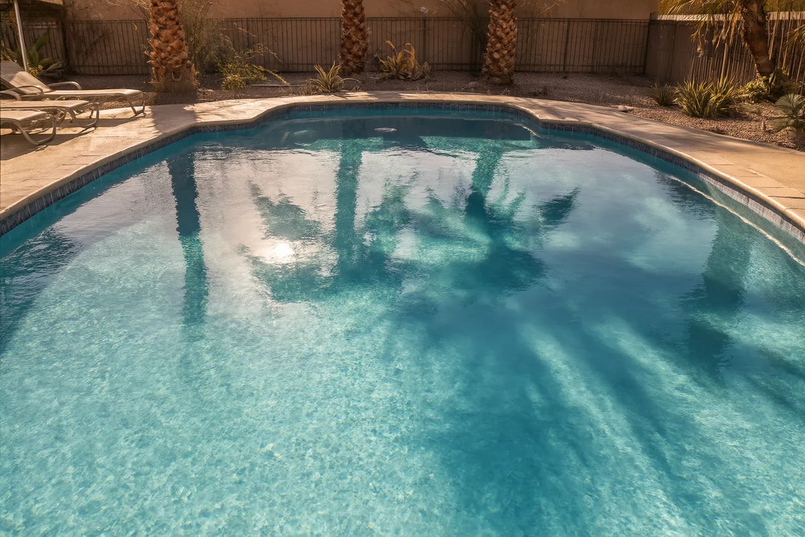 A backyard pool at golden hour with palm shadows on the water